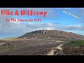 Hiking & Wild Camping in the Simonside Hills | Northumberland