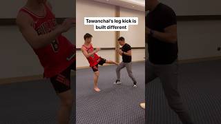 How many of Tawanchai’s leg kicks could you take? #muaythai