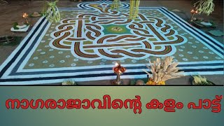 നാഗരാജാവിന്റെ കളം പാട്ട് /#pulluvanpattu #പുള്ളുവൻപാട്ട് #nagakalam #sarppamthullal