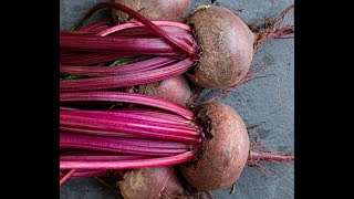 Beets 101 - Quick Tips and Ideas for Using Beets