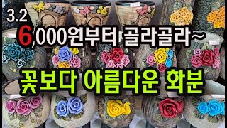 #신비의다육정원 - 6,000원부터~ 꽃보다 아름다운 화분들이랍니다.