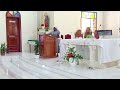 live misa takatifu ya mchana kutoka shrine ya mt padre pio san damiano dsm.