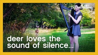 Girl Attracts Deer While Playing Harp in the Woods