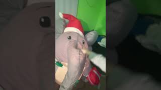 Christmas inflatable elephant￼