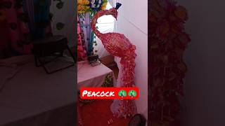 🦚🦚 Beautiful Peacock Video 🦚🦚🦚🦚🦚 | Mor Ka Bahut Achcha Video | Khubsurat Pink Peacock 🦚🦚🦚🦚🦚 #peacock