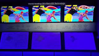 [CES 2025] TCL CSOT, QD Mini LED Display