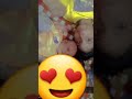 cute baby arbish rani baby picture arbish trending viral trendingshorts