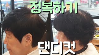 영상 하나로 댄디컷 정복하기