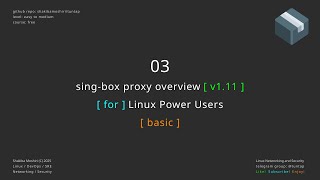 03 sing-box proxy overview - basic