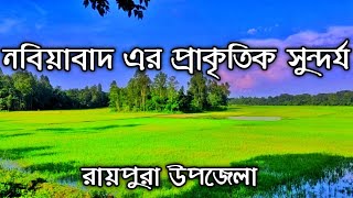 নবিয়াবাদ টু অলিপুর ,রায়পুরা উপজেলা,নরসিংদী।Nobiyabad to Alipur,Raipura Upazila,Narsingdi.||ES Blog||