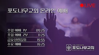 [포도나무교회] 수요예배 21. 5. 26 | 천국은 세상을 치유합니다 | 황민 목사