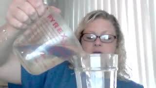 Celery stem experiment day 1