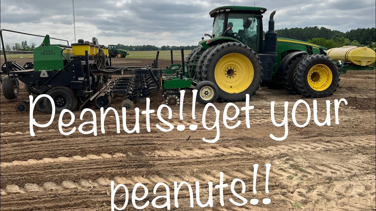 Peanut Time Youtube