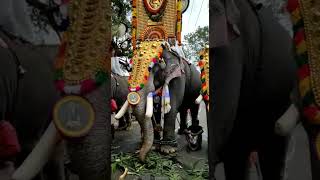 കല്ലഴി pooram 2023#viral പാമ്പാടി രാജൻ |പാമ്പാടി സുന്ദരൻ |നന്ദിലത്ത് ഗോപാലകൃഷ്ണൻ @ranjuzz kallazhi