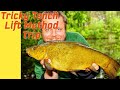 Tench Fishing - Lift Method For Tench Part 2 (Video 192)