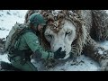 white lion covered with millions of barnacles and weta saved by rescue team