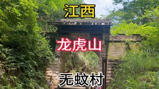 自驾游江西 龙虎山风景区 无蚊村打卡 真的没有蚊子 有天师节孝坊