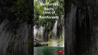 Rainforest Revelations: Uncovering Earth's Green Heart 8 #motivation #quotes #spacefacts