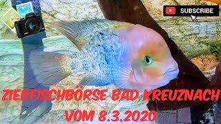 Fischbörse Bad Kreuznach 8.3.2020