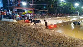 Moodabidri kambala