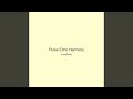Pulse Echo Harmony