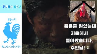 설날 명절에도 농장에서 일하는 청계 아빠입니다. (feat. 지옥에서 돌아온 청계닭)