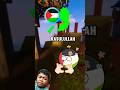 Negara istimewa #countryballs #freepalestine #minecraft