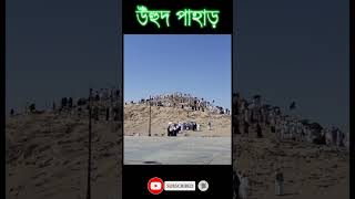 মদিনার উহুদের পাহাড় যেখানে উহুদের যুদ্ধ সংঘটিত হয়েছিল। battle of uhud