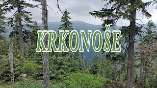 KRKONOŠE 2021