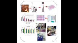 E-NNOVATE 2020: Innovation From Iran: Anticancer and Therapeutic potential  - ID 73