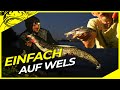 SO EINFACH IST ES! Rückblick - WELSANGELN vom Ufer mit Stefan Seuss | Wallerangeln in Deutschland