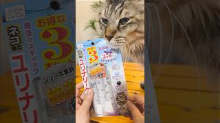 猫の健康を考える！軟水化スティックで猫の水分摂取をサポート！#猫グッズ #猫のいる暮らし #猫