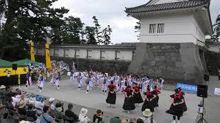 2019えっさホイおどり(銅門)鴉