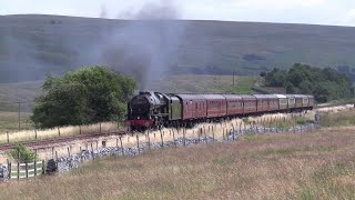 46115 Scots Guardsman in Full cry over the S\u0026C on the Waverley 7/8/22.