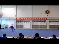 tai chi lang stock qiang fajin 抖大杆 大枪