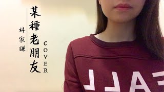 Dawn.Y Cover | 某種老朋友  | 林家謙Terence Lam