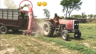 Barseem Silage | CEL MAK | MF 385 Operating with PTO Shaft | Punjab Tractors