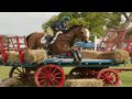 horse feathers curs in the weeds hd latest video