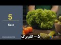 بهترین مواد غذایی برای کلیه ها