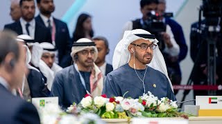 UAE President attends BRICS Summit