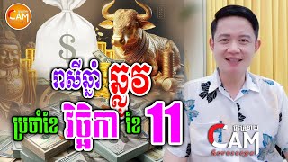 ទាយលំអិត រាសីឆ្នាំឆ្លូវ ប្រចាំខែវិច្ឆិកា ឆ្នាំ 2024 | លោកគ្រូមហាជុំ | Khmer Daily Horoscope