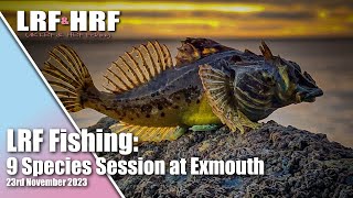 LRF Fishing: 9 Species Session at Exmouth