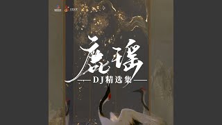 暗许 (Dj野马版)