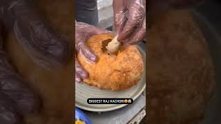 ek rakhshas kachori Khao or 1100₹ cash la jao#viral #biggest #chat #alluarjun #trending #rajkachori