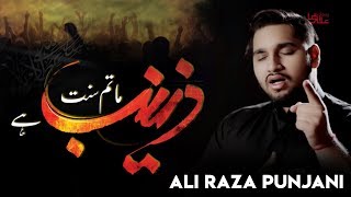 Matam Sunat e Zainab Hai (sa) | Ali Raza Punjani New Noha 2018 | Muharram 1440H | Nohay 2018
