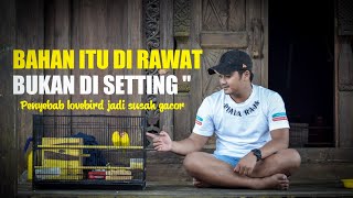 BAHAN KONSLET ITU DI RAWAT BUKAN DI SETTING - BERSAMA ANDRI BEJO BF BANJARNEGARA