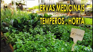 Mudas, Ervas Medicinais, Temperos e outros com Roberto Akira no Ceagesp SP