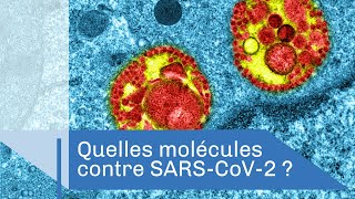 Quelles molécules contre SARS-CoV-2 ? | Reportage CNRS