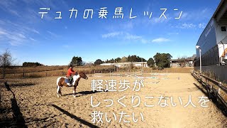 【乗馬】軽速歩がしっくりこない人に試してほしい練習を動画にしてみた 【馬ブログ】