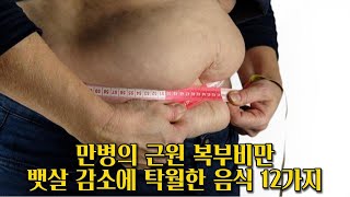 만병의 근원 복부비만, 뱃살 감소에 탁월한 음식 12가지!!!